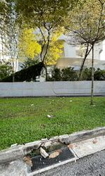 Ardmore Residence (D10), Condominium #445757641